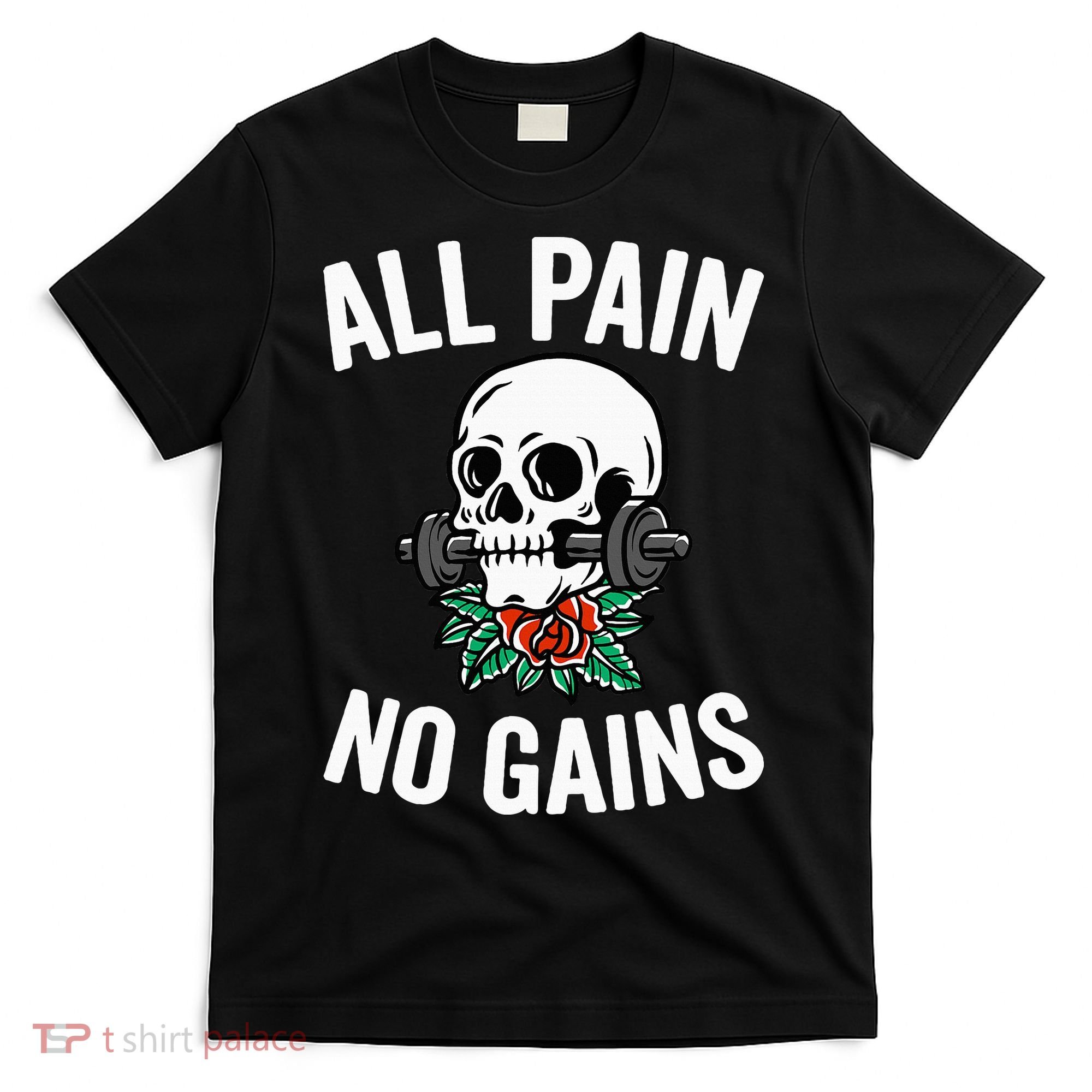 All Pain No Gains Gym Fitness Workout Bodybuilding T-Shirt
