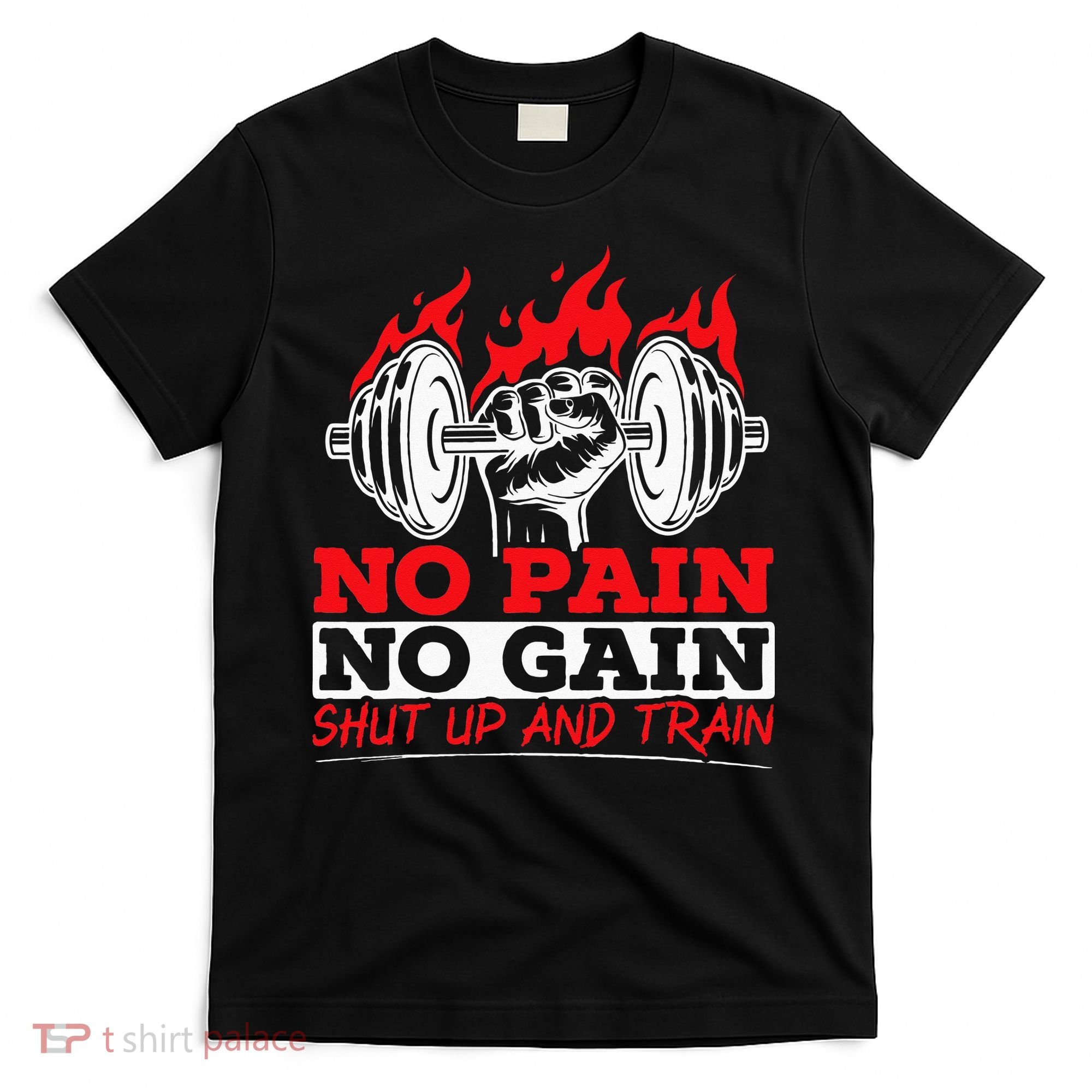 All Pain No Gains Gym Weightlifting Bodybuilding Fitness T-Shirt