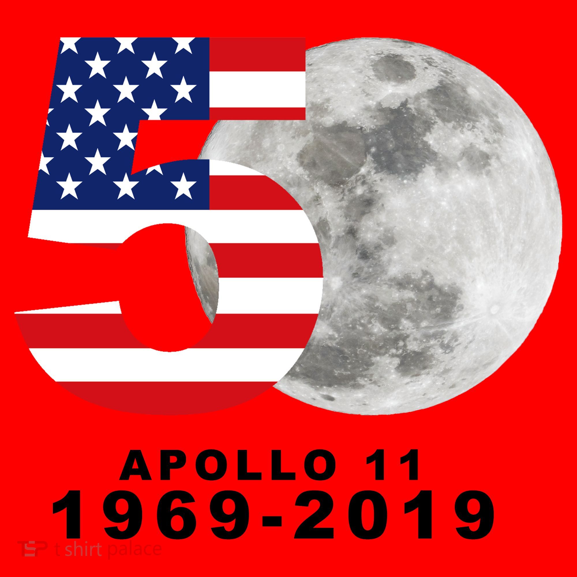 Apollo 11 50th Anniversary American Moon Landing Santa Hat