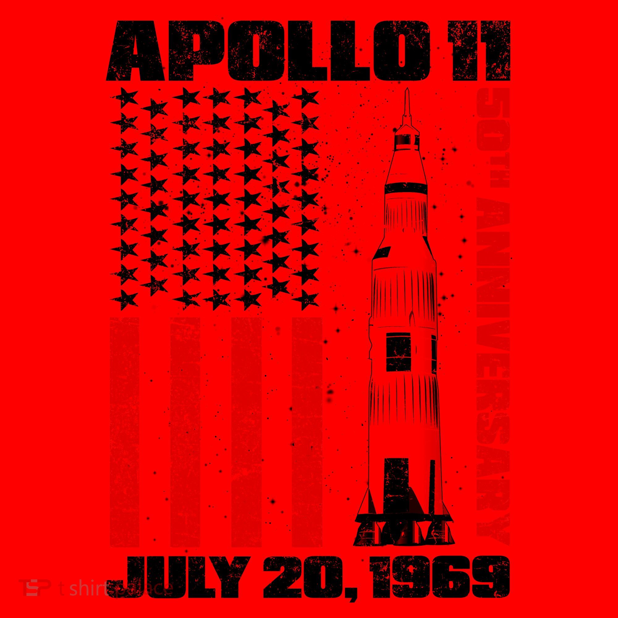Apollo 11 50th Anniversary Flag Santa Hat