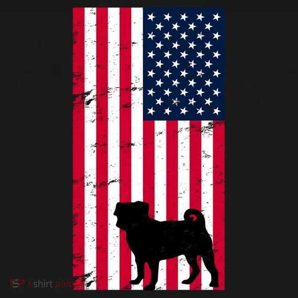 American Pitbull Flag Women's Hoodie