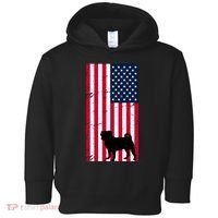 American Pitbull Flag Toddler Hoodie thumb 0