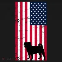 American Pitbull Flag Women's T-Shirt thumb 6