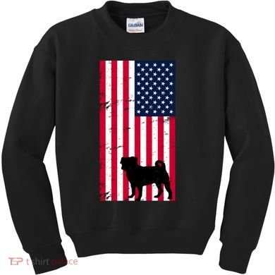 American Pitbull Flag Kids Sweatshirt