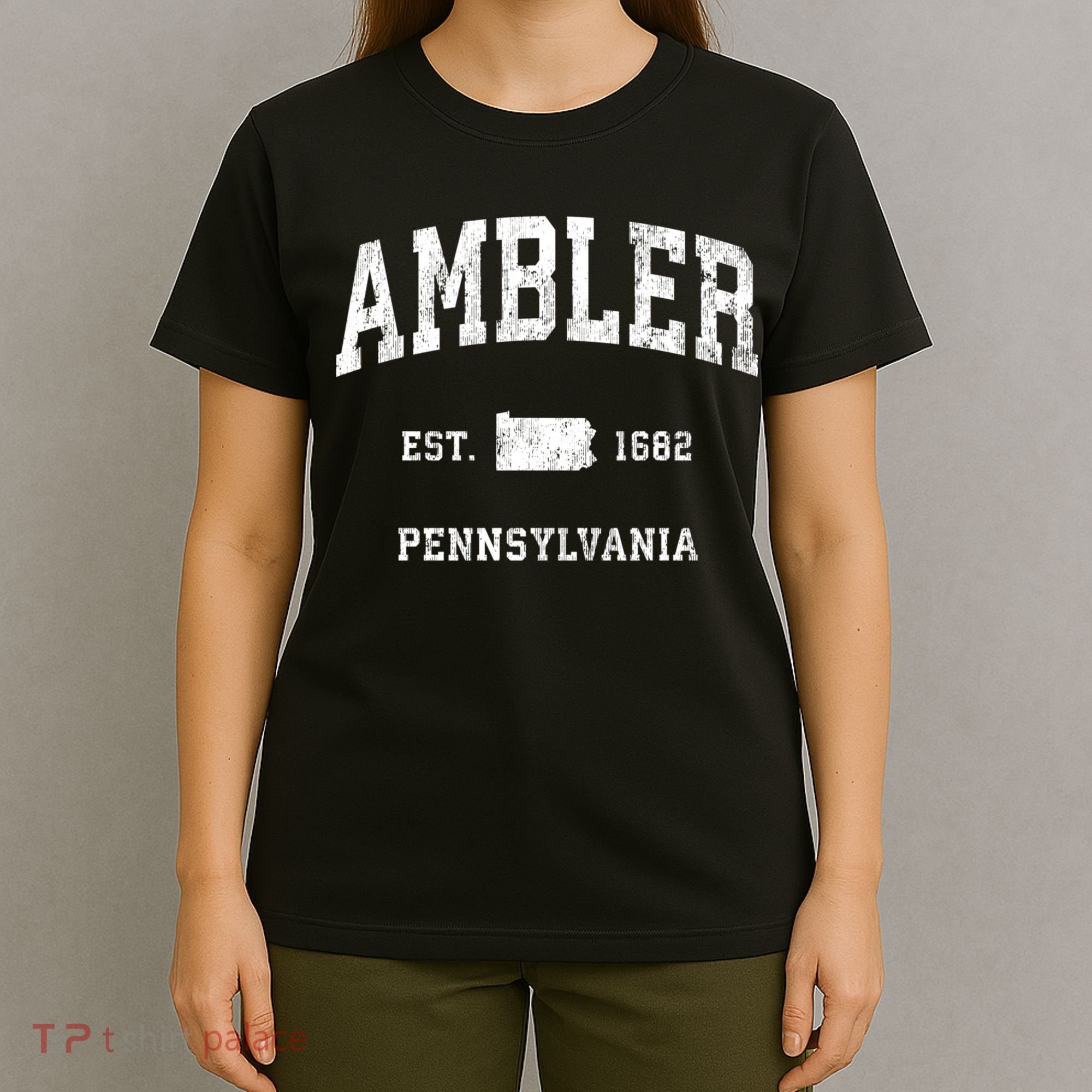 Ambler Pennsylvania Pa Vintage Athletic T-Shirt