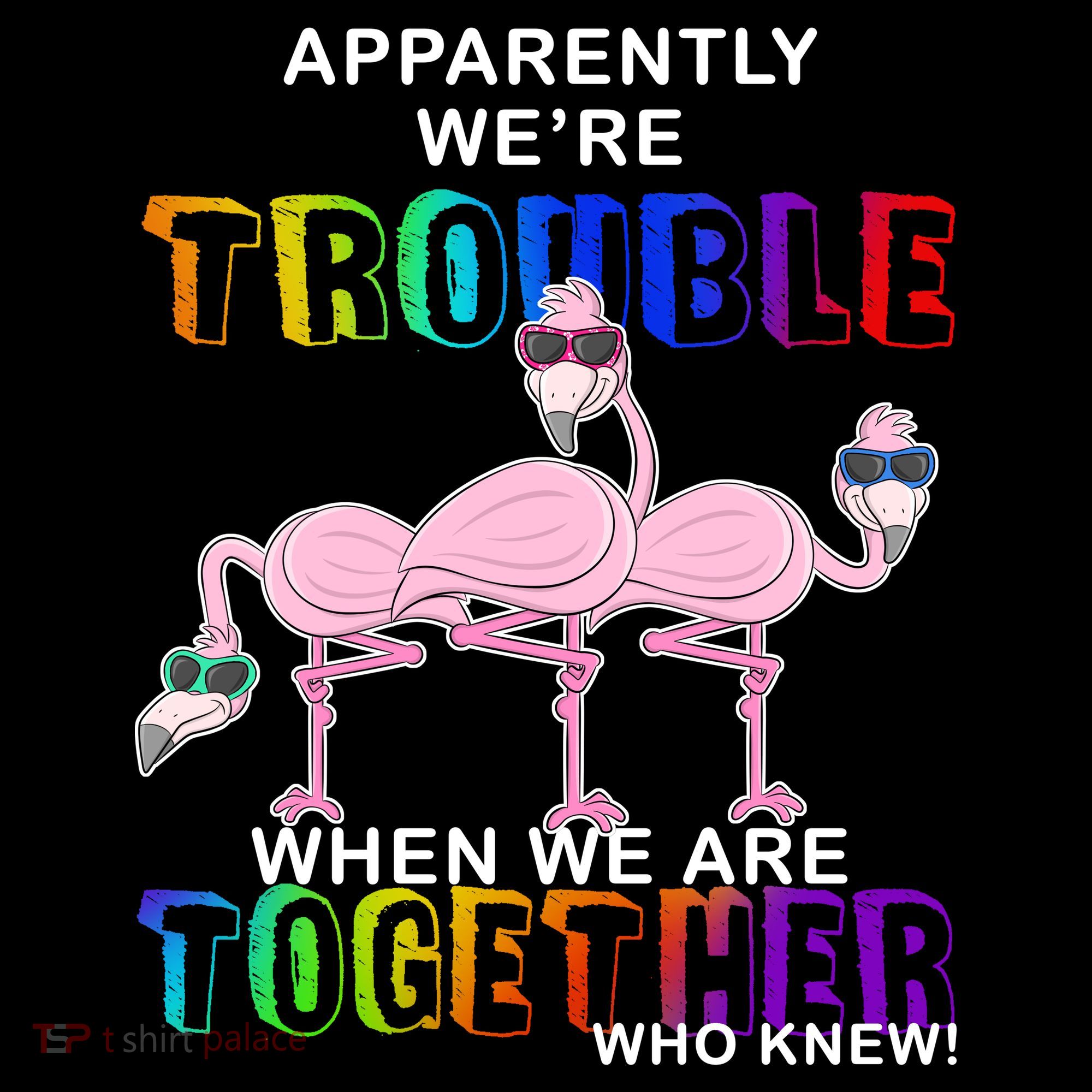 Apparently We're Trouble When We Are Together Women's Hoodie