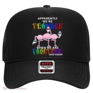 Apparently We're Trouble When We Are Together Hat