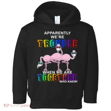 Toddler Hoodie
