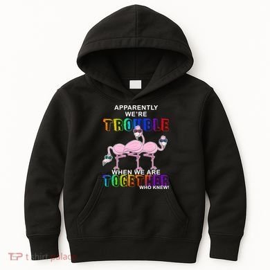 Apparently We're Trouble When We Are Together Kids Hoodie