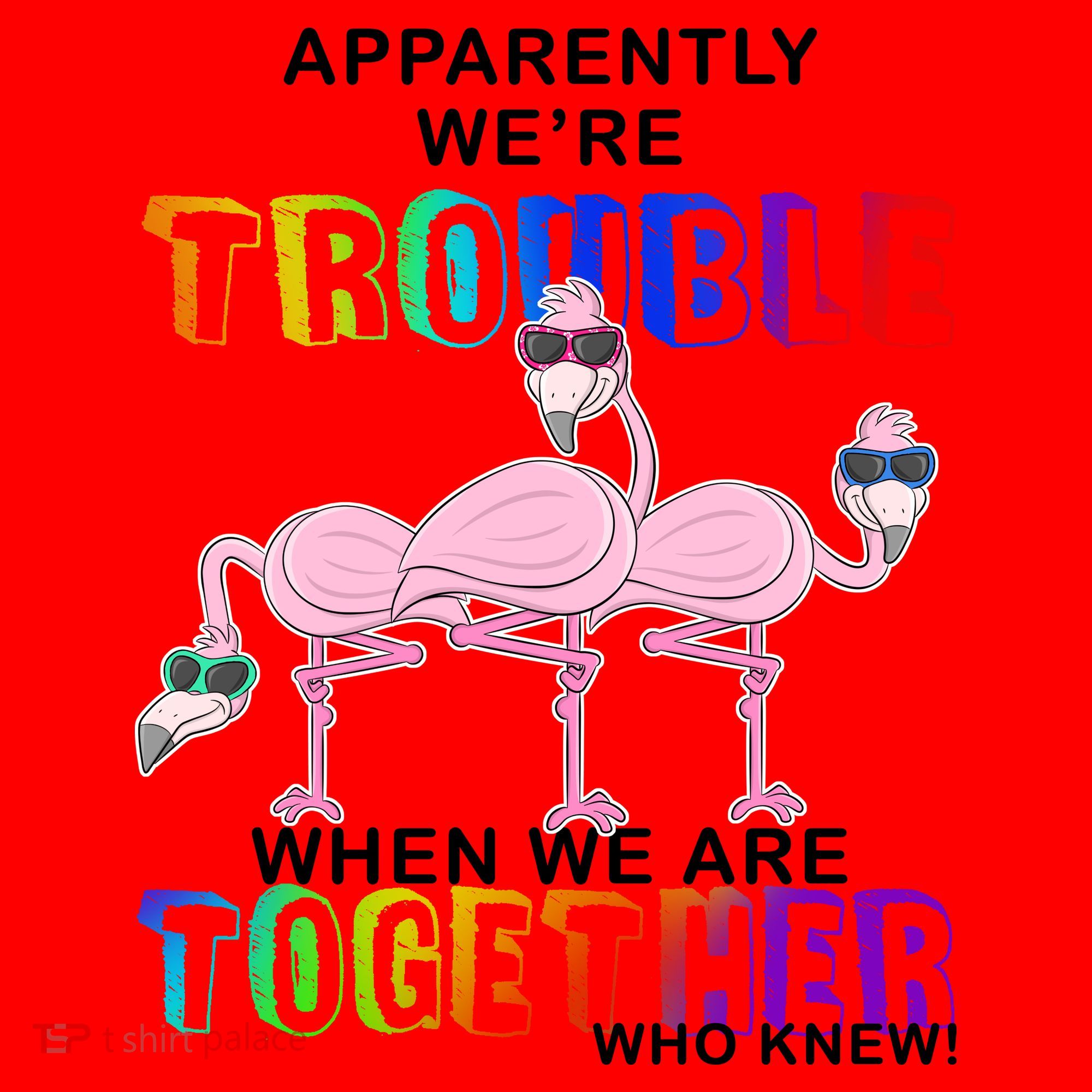Apparently We're Trouble When We Are Together Santa Hat