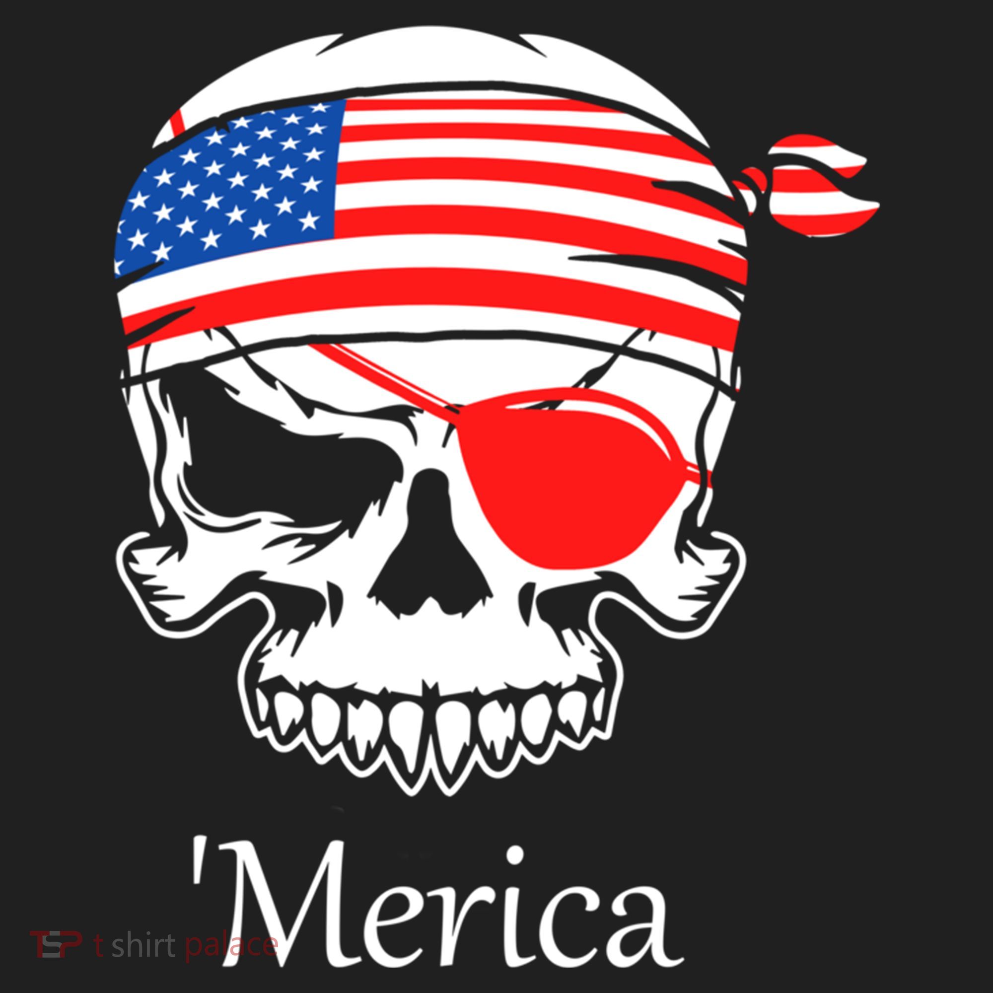 America Pirate Skull Flag July 4th Independence Day Merica Gift Beanie