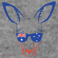 Australia Patriotic Symbol Shirts 26 January Australian Flag Toddler Hoodie thumb 2