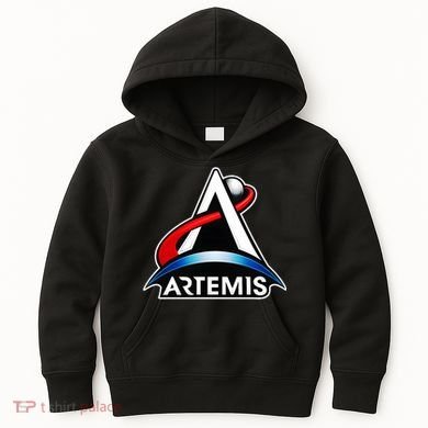 Artemis Program Space Logo Kids Hoodie