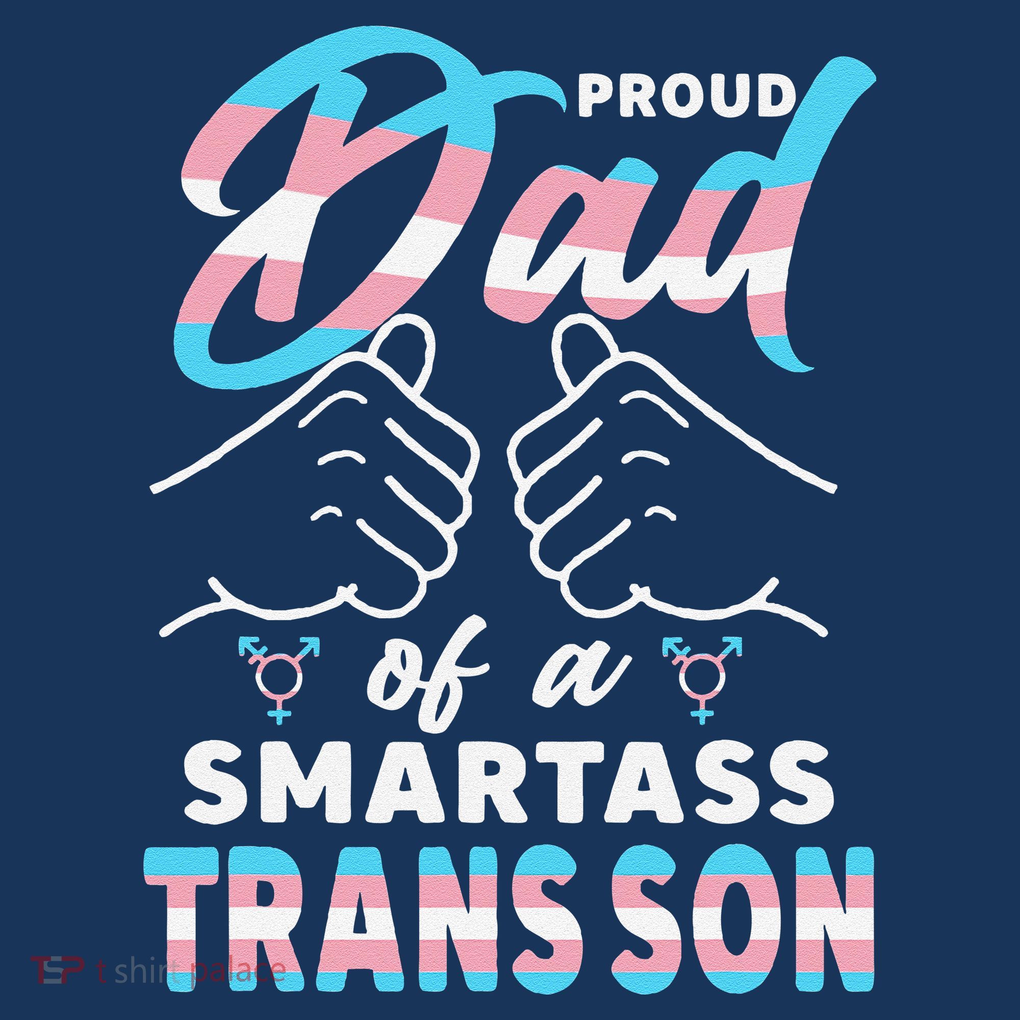 Awesome Proud Transg Dad Pride Lgbt Awareness Fathers Day Beanie