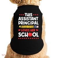 Assistant Principal VicePrincipal Associate Headmaster Doggie Tank thumb 0