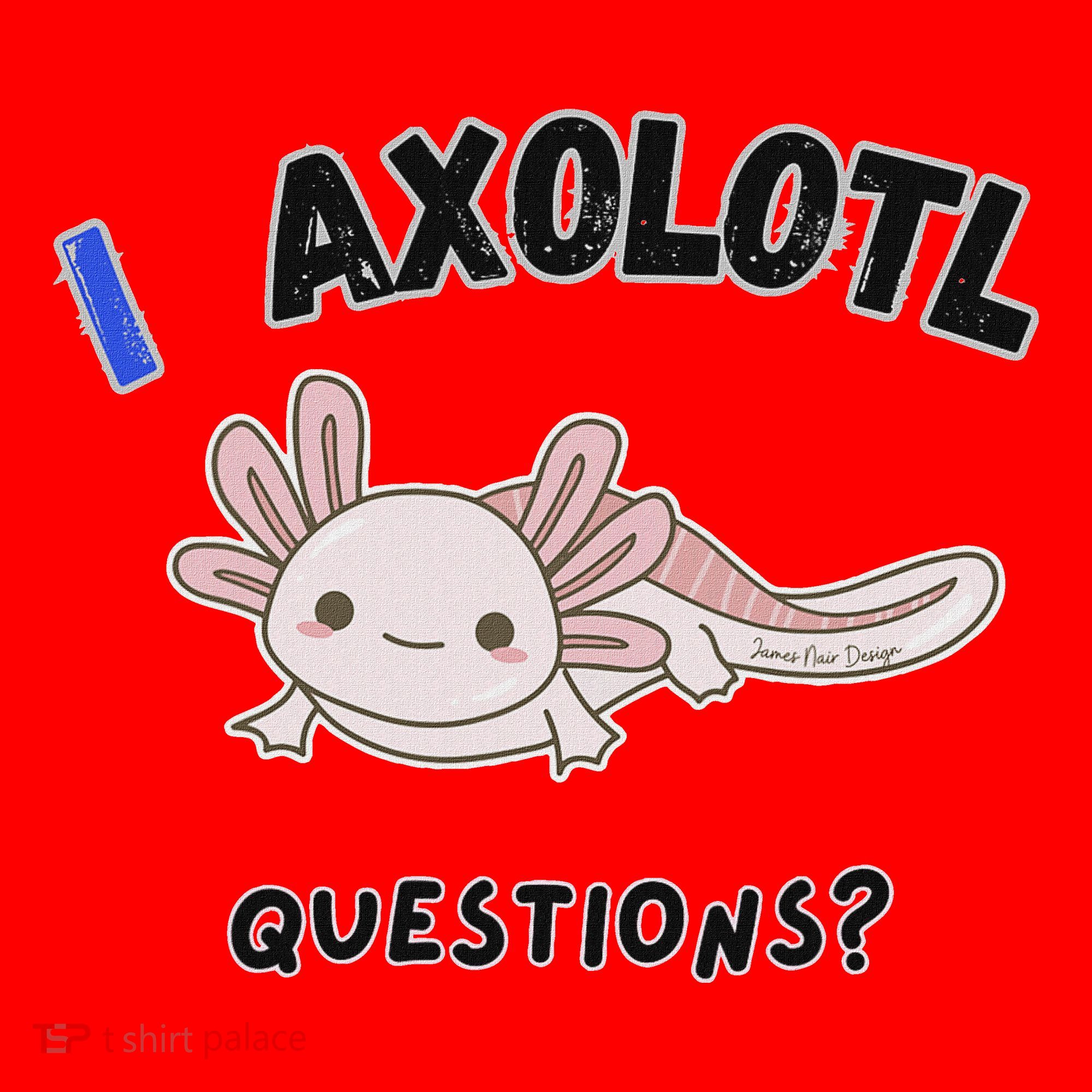 Axolotl Questions Santa Hat
