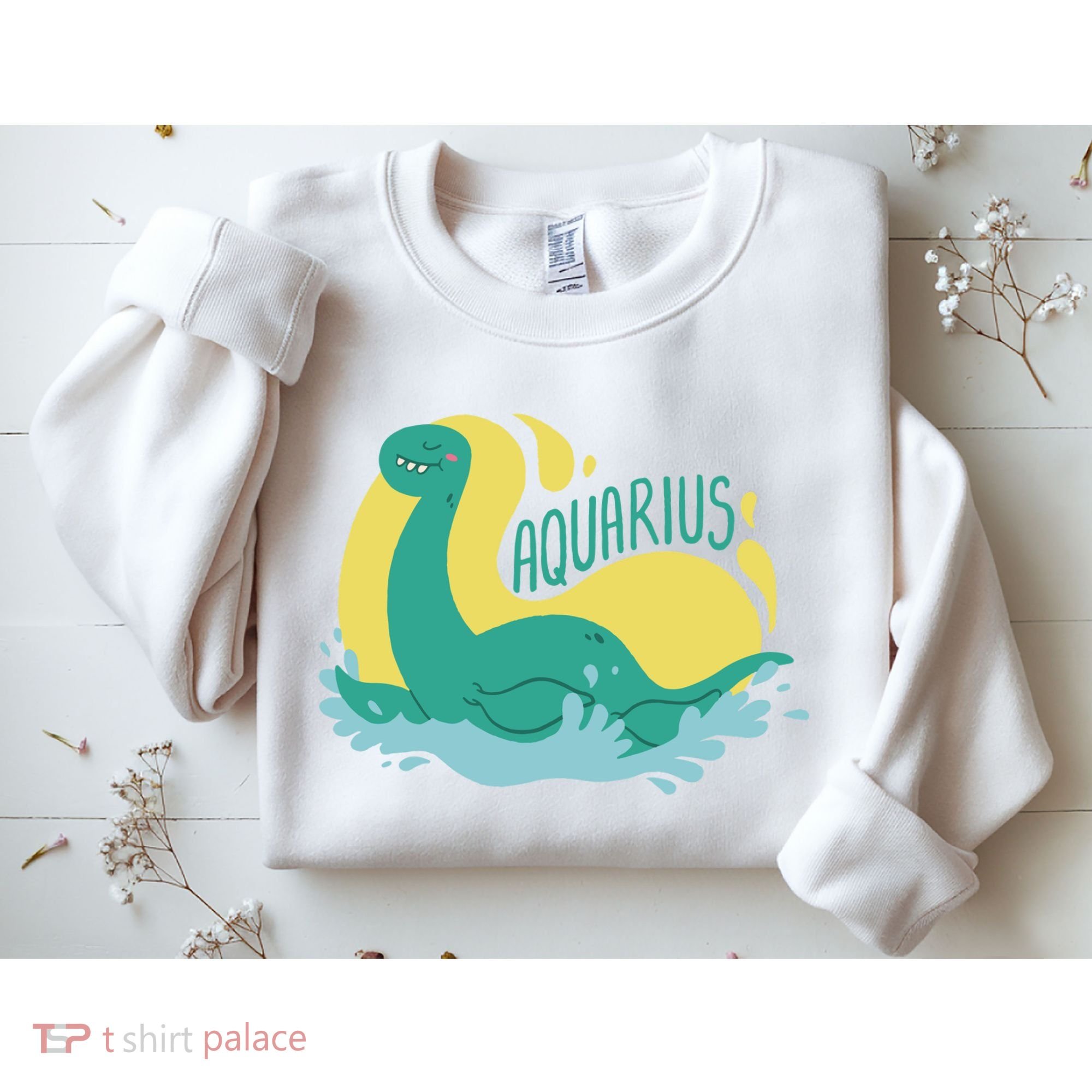 Aquarius Dinosaur Sweatshirt