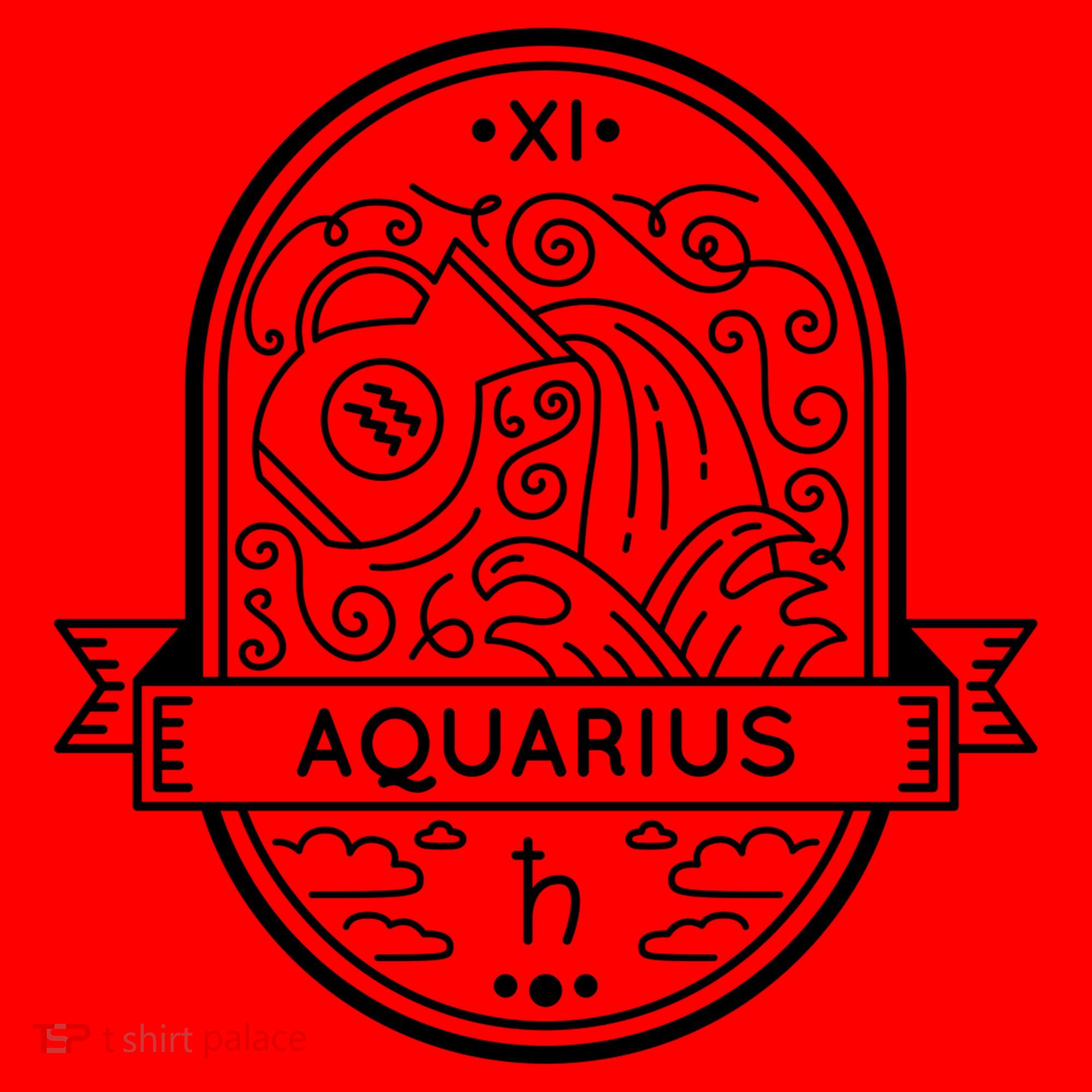 Aquarius Zodiac Symbol Design Santa Hat