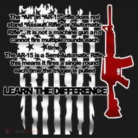 AR15 Not AN Assault Rifle Guns Quote Ornament thumb 1