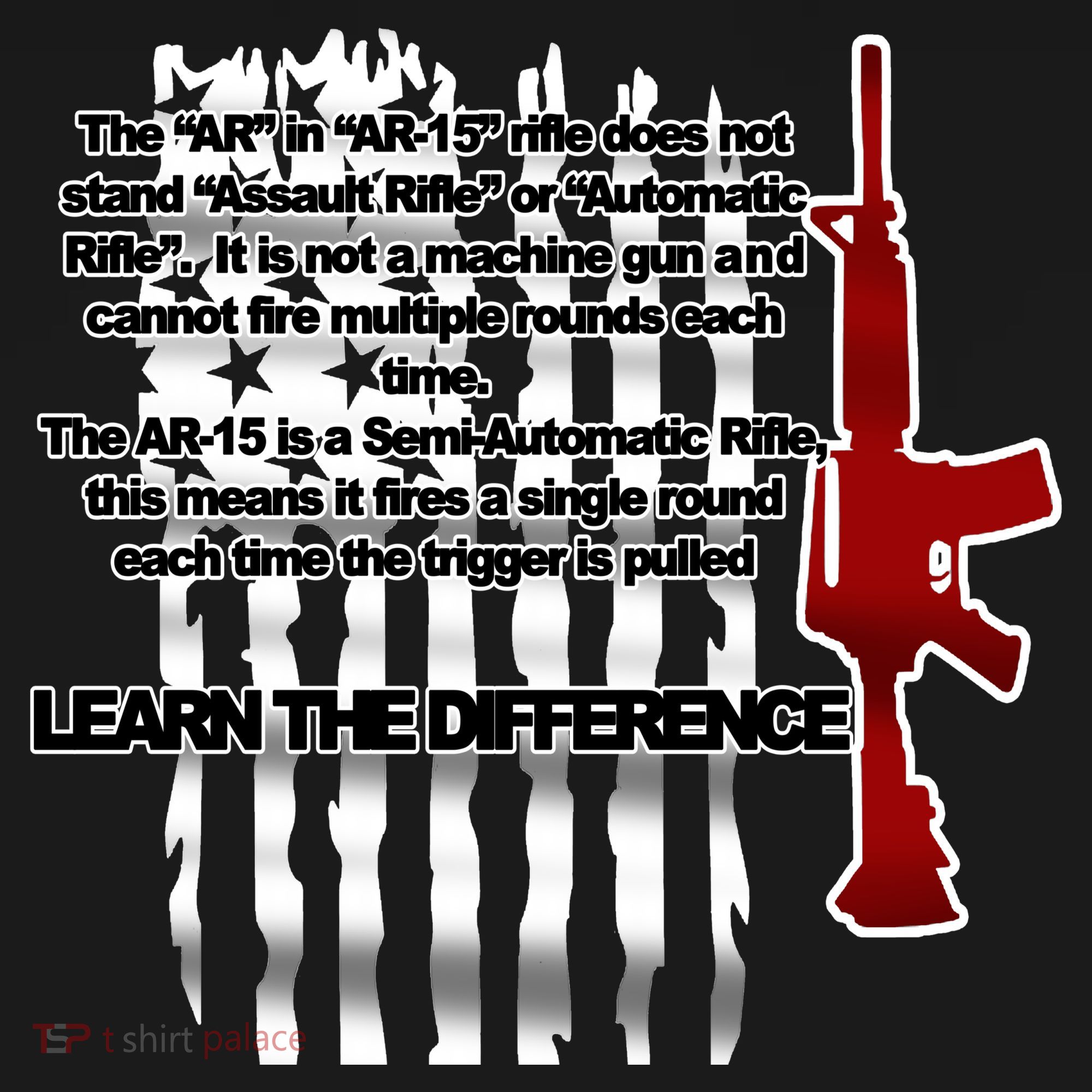 AR15 Not AN Assault Rifle Guns Quote Ornament