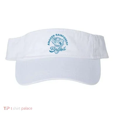Visor