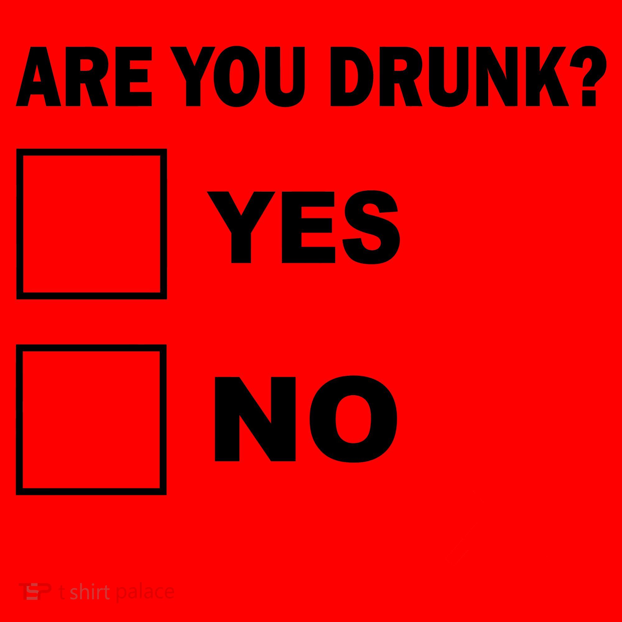 Are You Drunk? Yes or No Santa Hat