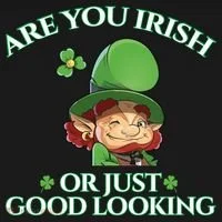 Are You Irish or Just Good Looking Leprechaun Hoodie thumb 2