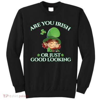 Are You Irish or Just Good Looking Leprechaun Sweatshirt