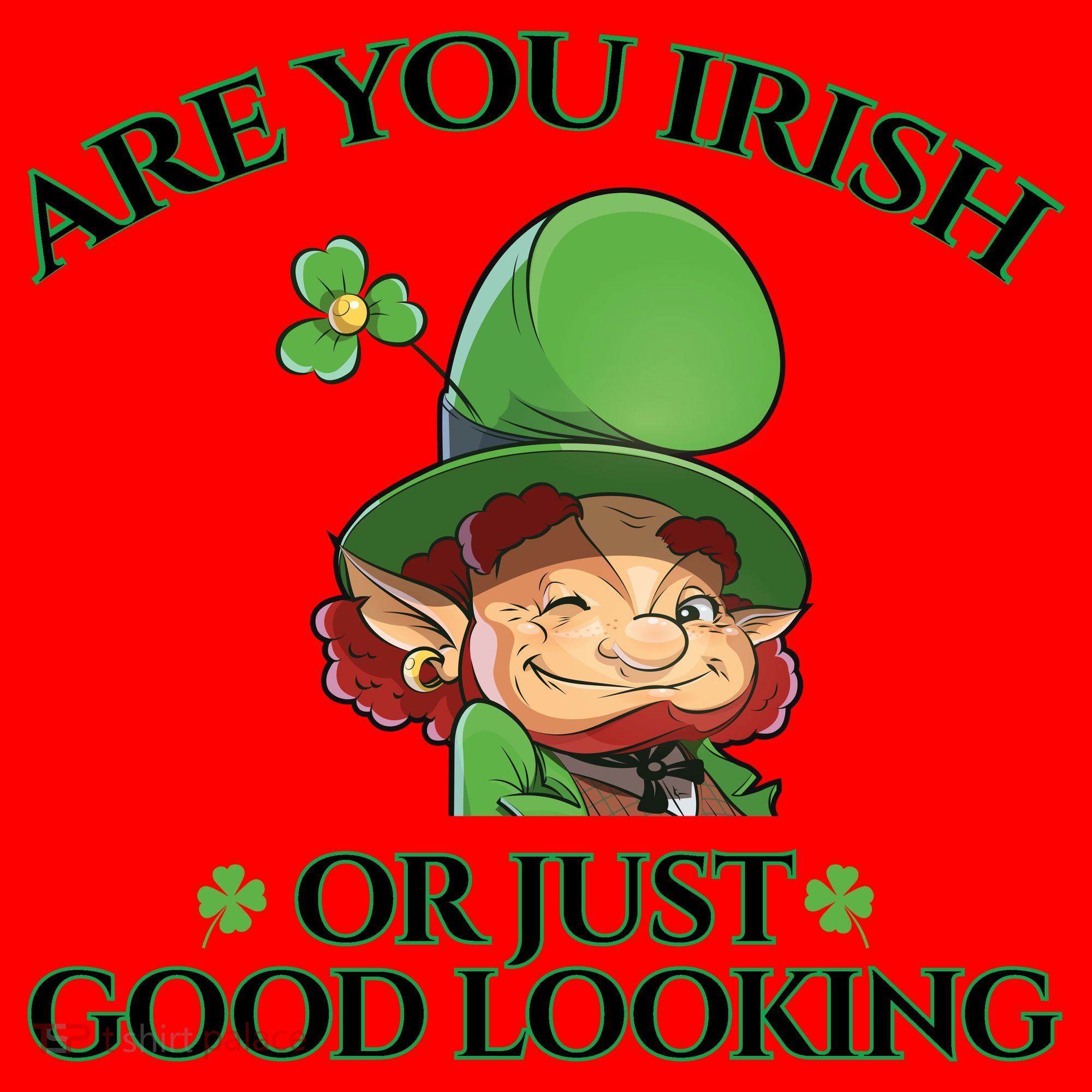 Are You Irish or Just Good Looking Leprechaun Santa Hat