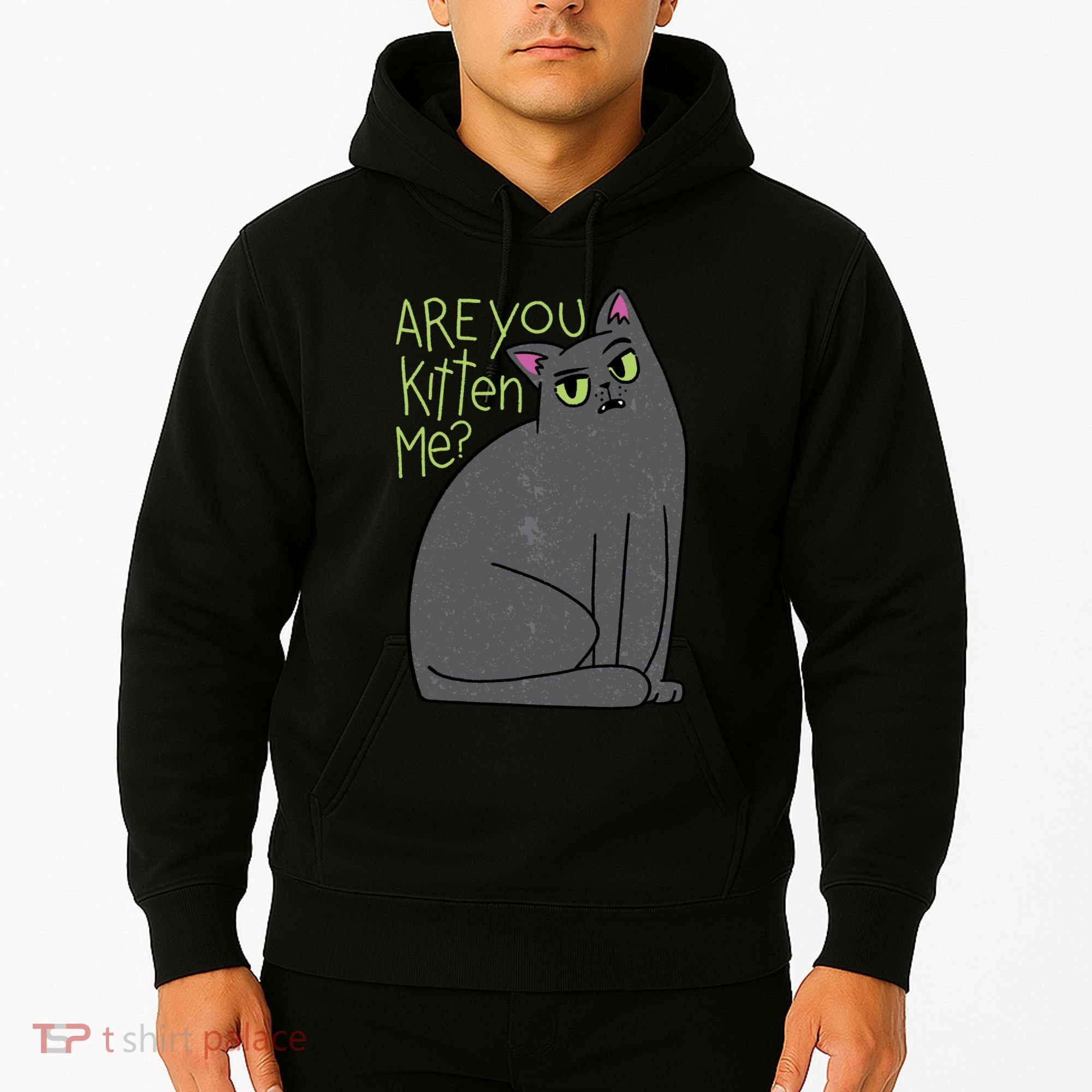 Are You Kitten Me Hoodie