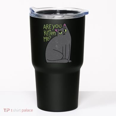 Are You Kitten Me Tumbler