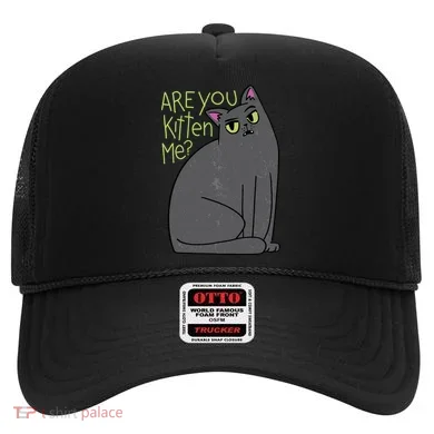 Are You Kitten Me Hat