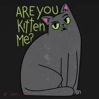 Are You Kitten Me Toddler Hoodie thumb 2