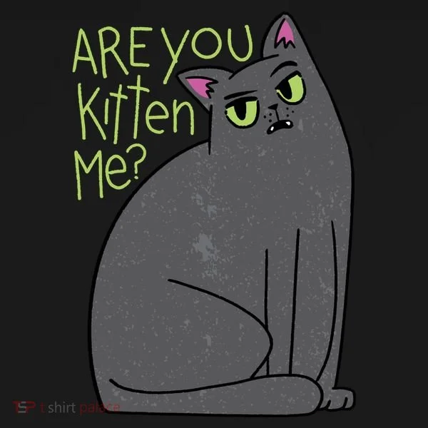 Are You Kitten Me Toddler Hoodie