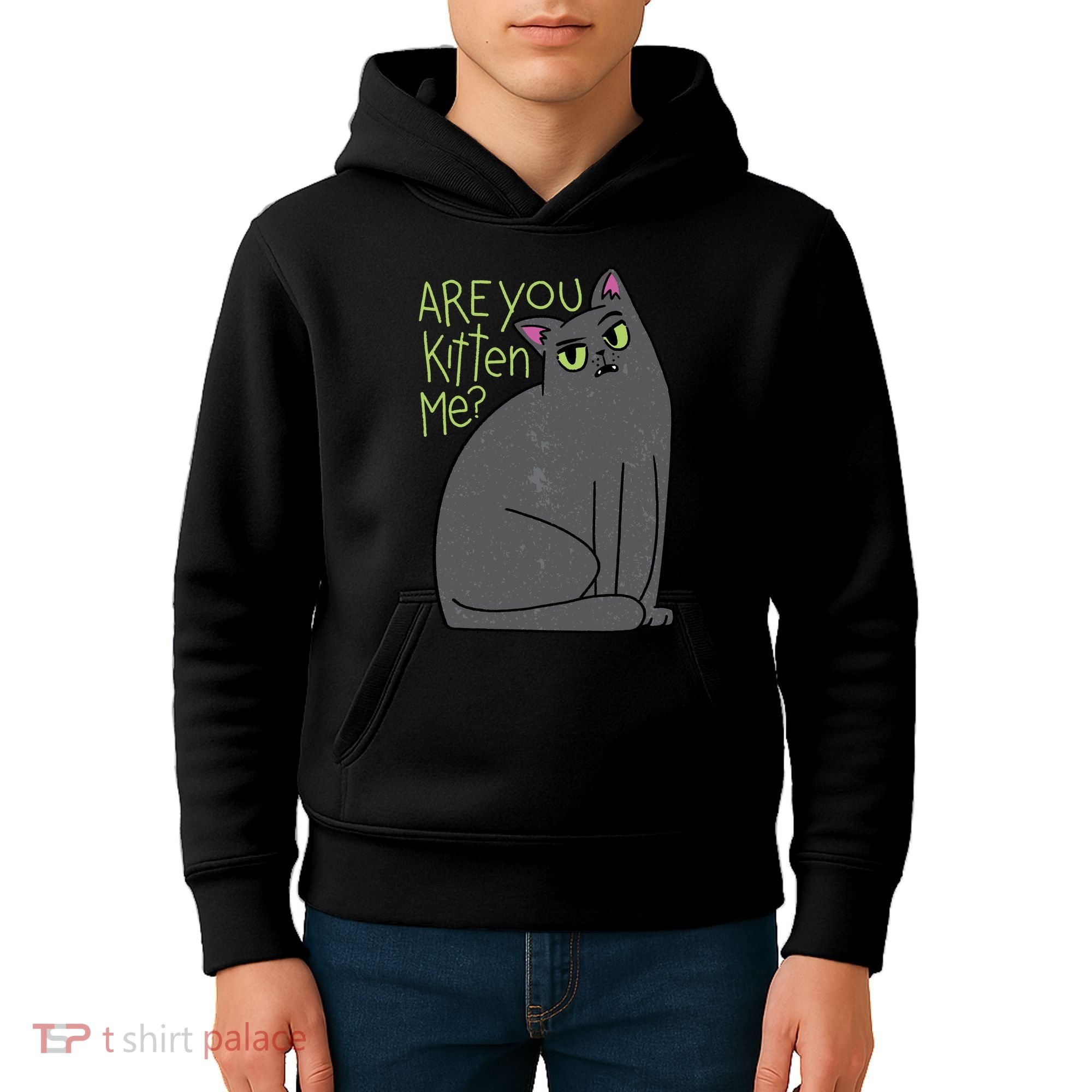 Are You Kitten Me Kids Hoodie