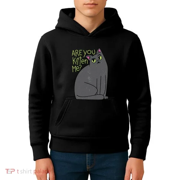 Are You Kitten Me Kids Hoodie