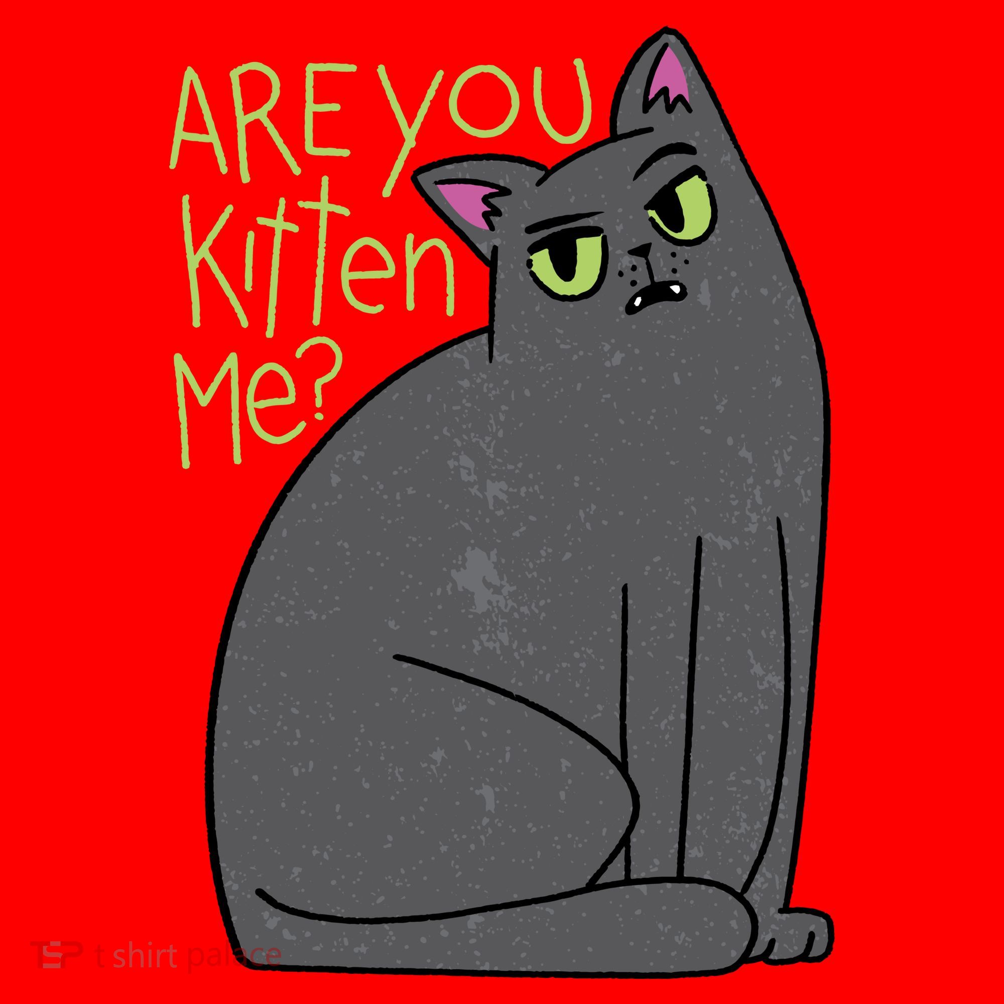 Are You Kitten Me Santa Hat