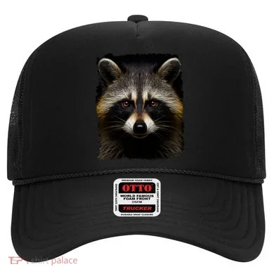 A Racoon Gift Hat