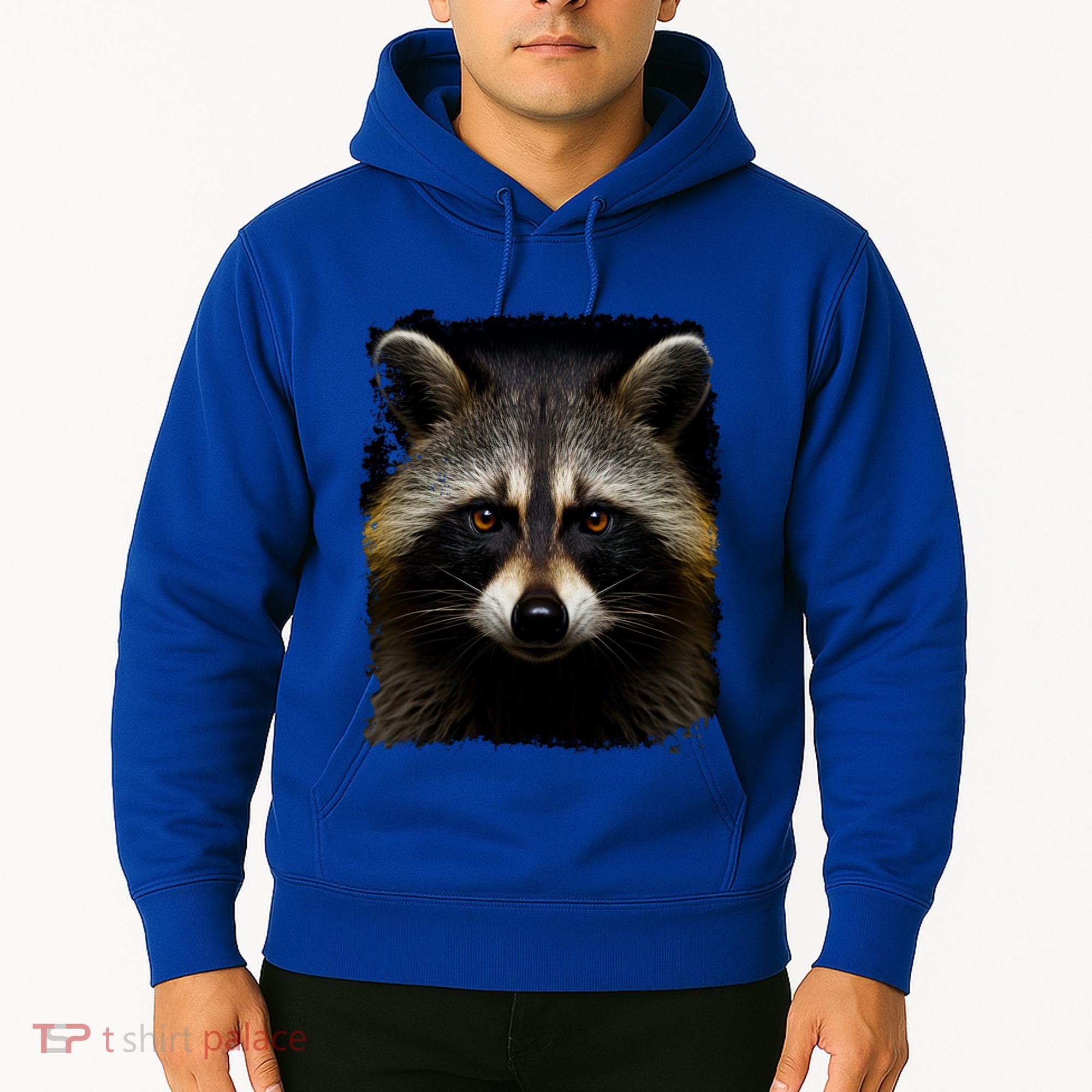 A Racoon Gift Hoodie