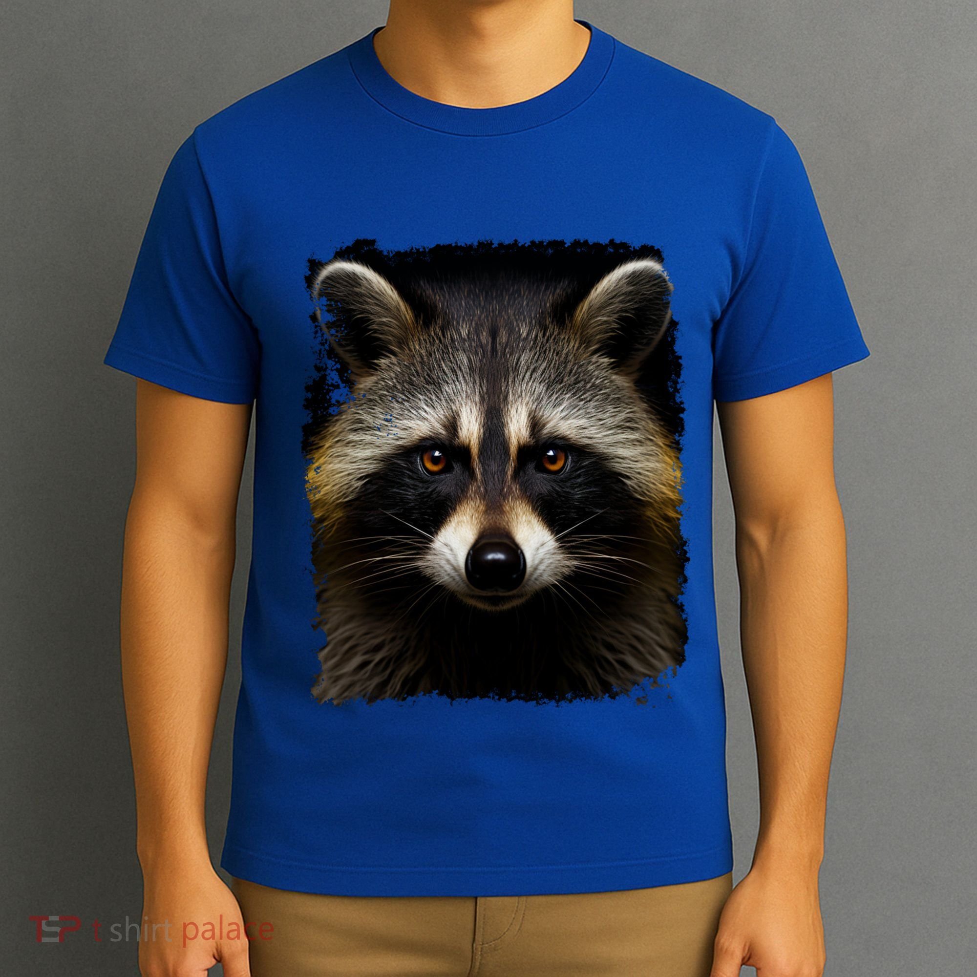 A Racoon Gift T-Shirt