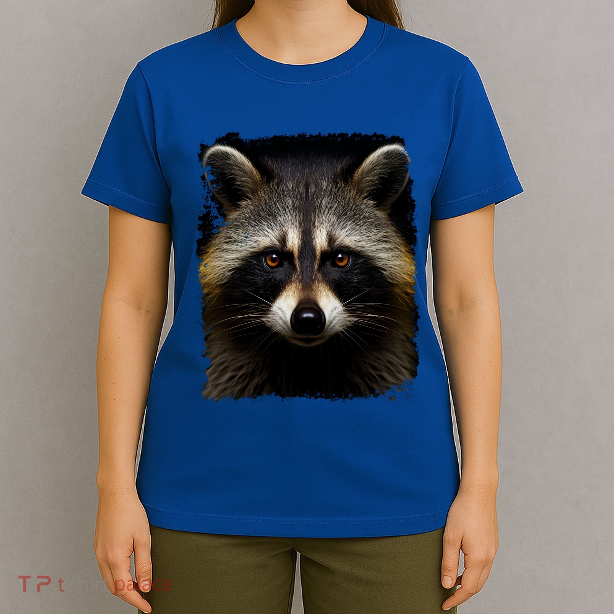 A Racoon Gift T-Shirt