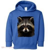 A Racoon Gift Toddler Hoodie thumb 0