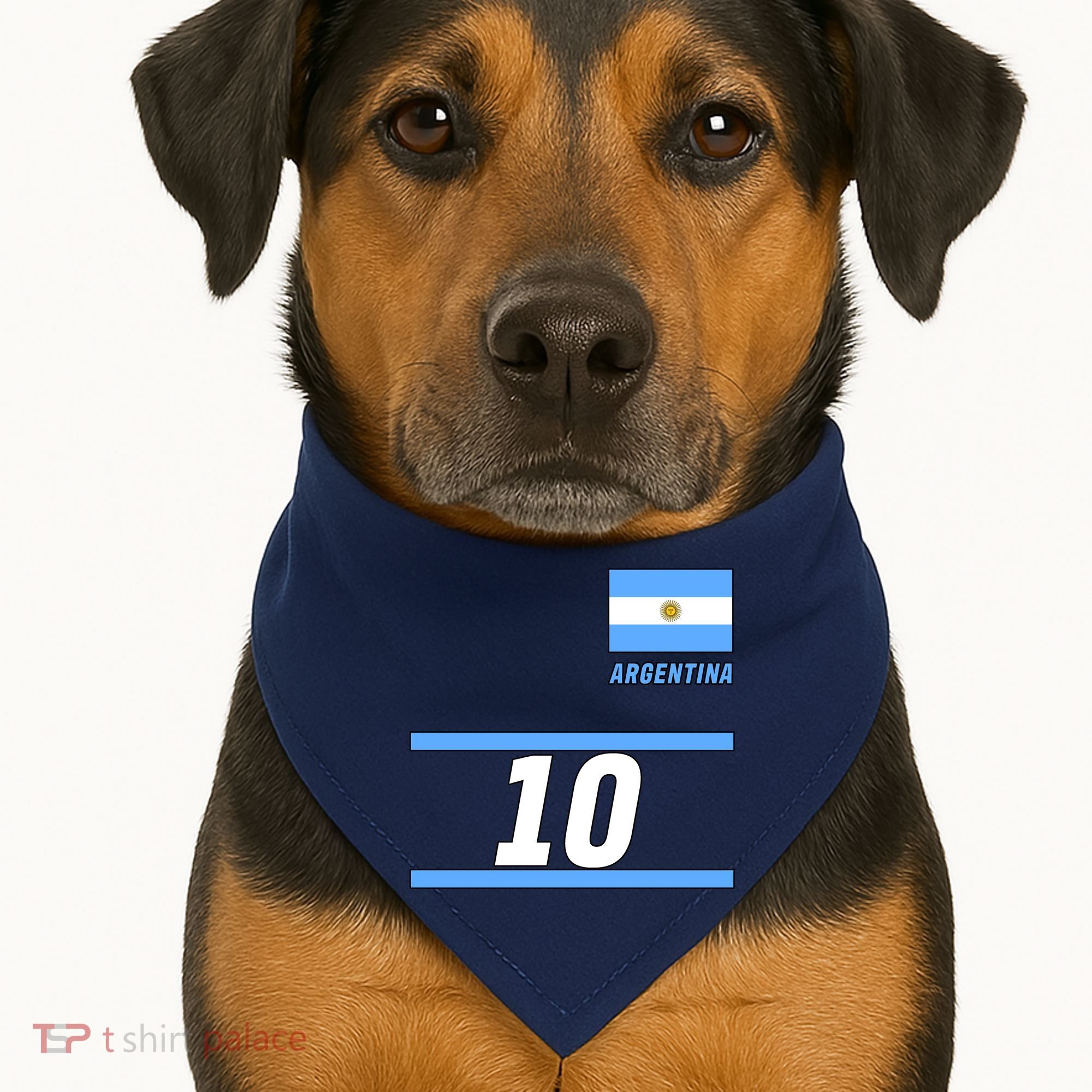 Argentina Soccer Jersey Number 10 USA-Made Doggie Bandana