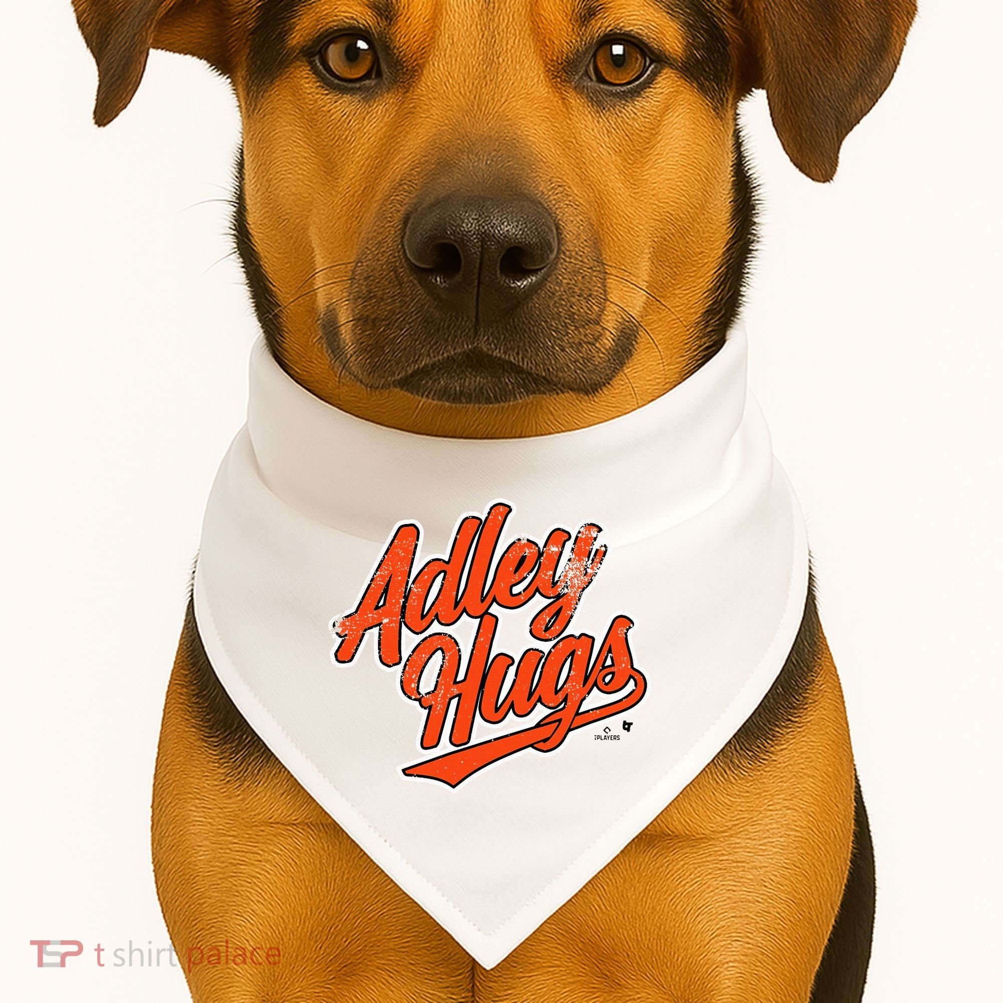 A.D.L.E.Y R.U.T.S.C.H.M.A.N Hug Script Baltimore Baseball USA-Made Doggie Bandana