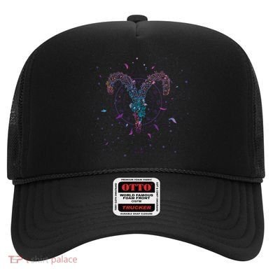 Aries Floral Zodiac Hat