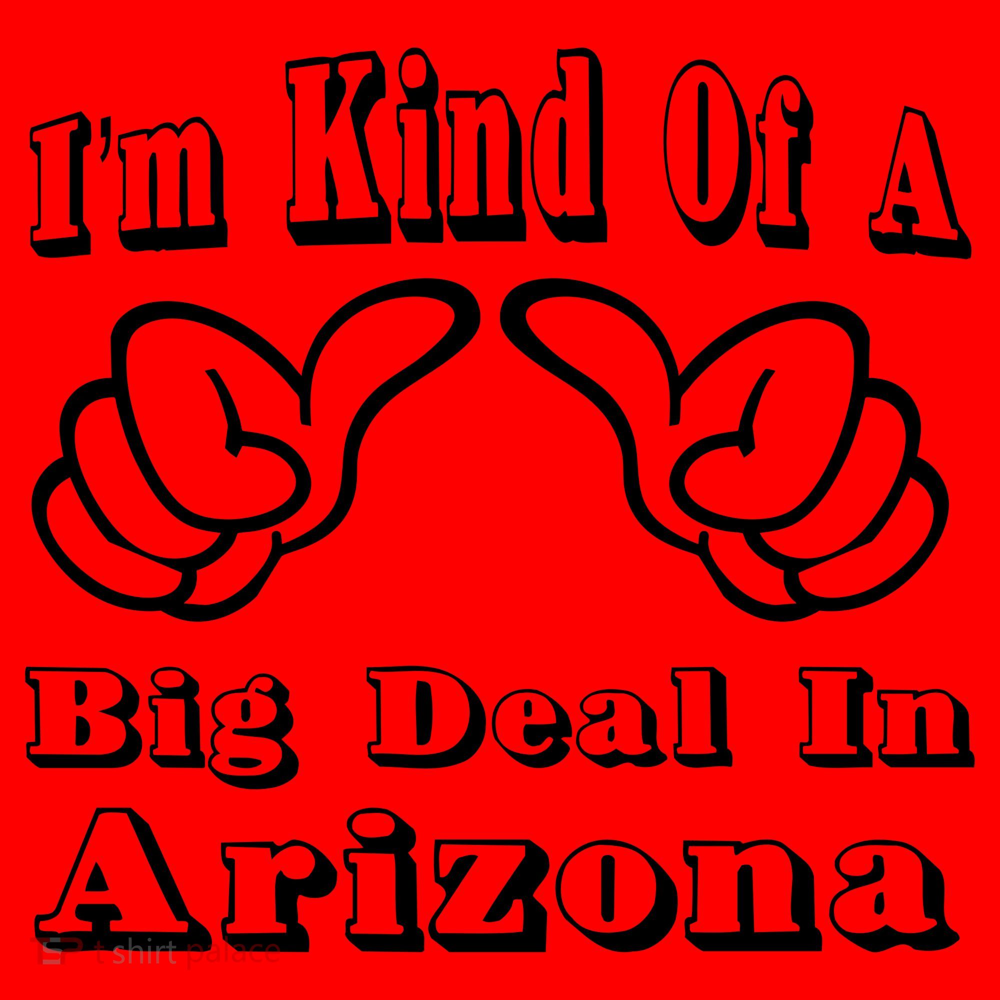 Arizona Big Deal Santa Hat