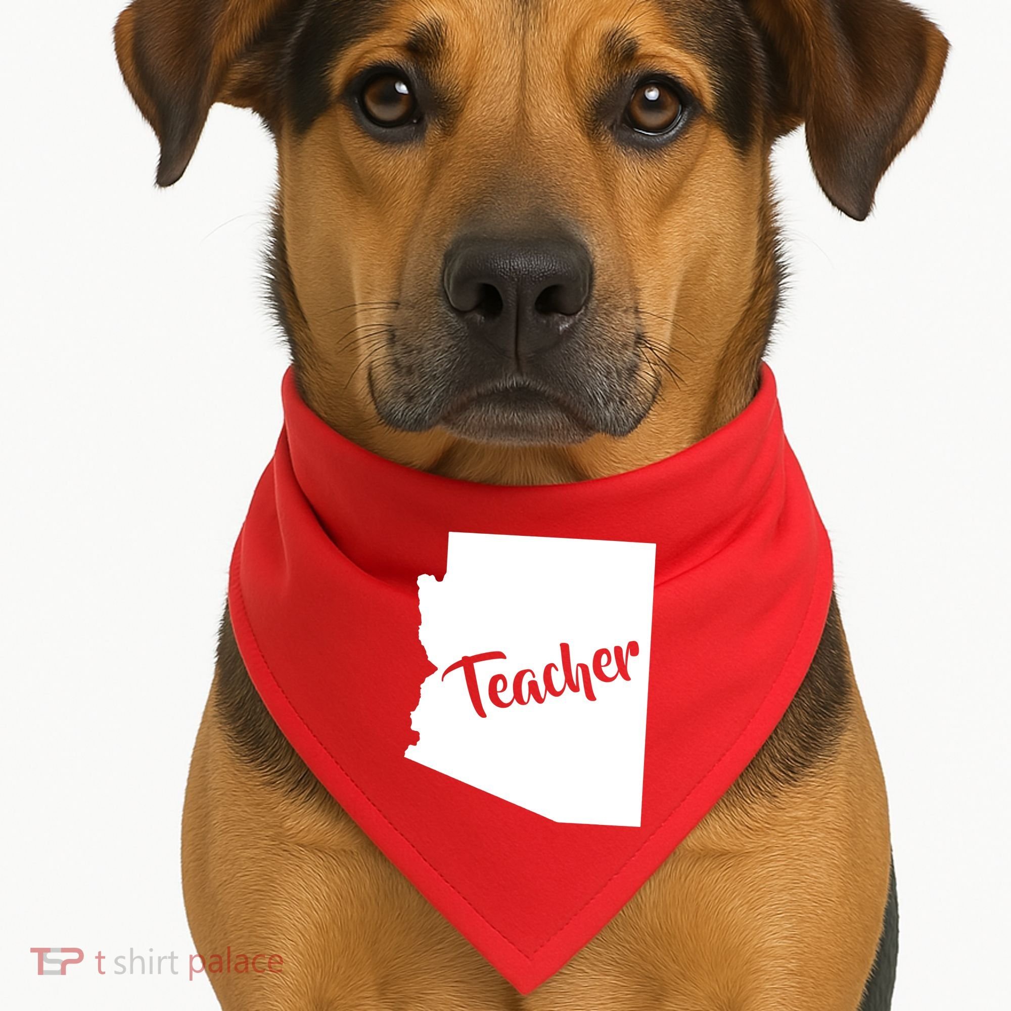 Arizona Teacher USA-Made Doggie Bandana