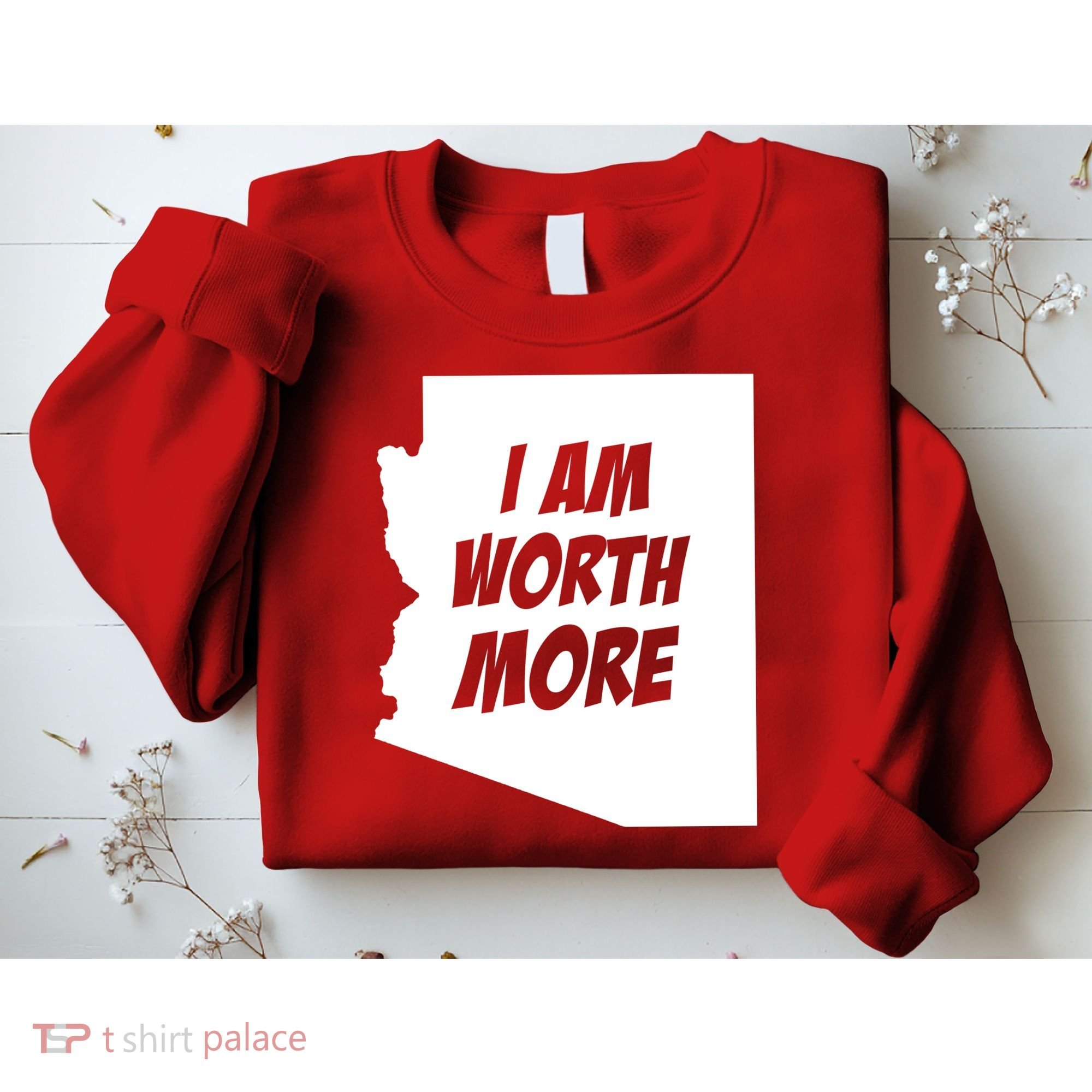 Arizona Teacher Protest I Am Worth More Sweatshirt