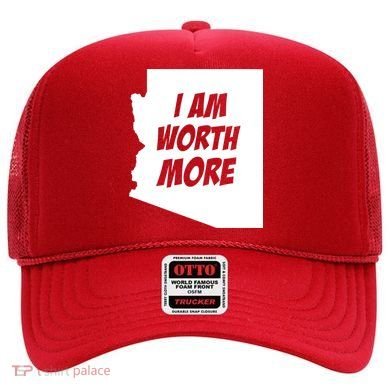 Arizona Teacher Protest I Am Worth More Hat