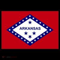Arkansas State Flag Hoodie thumb 7